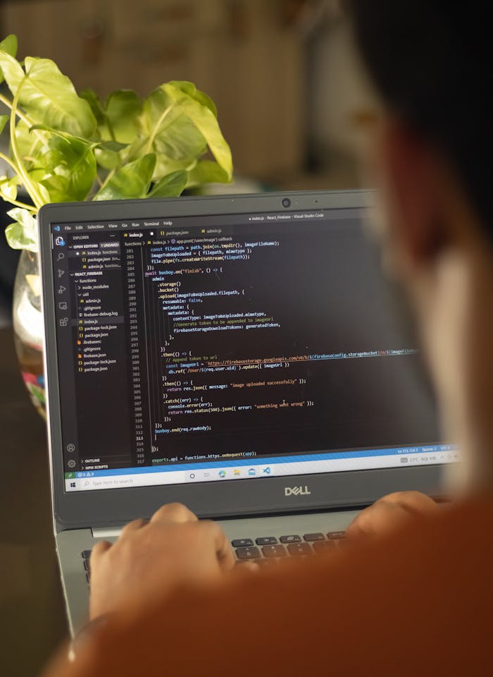 Person focused on coding with laptop and plant in view, highlighting a modern work environment.